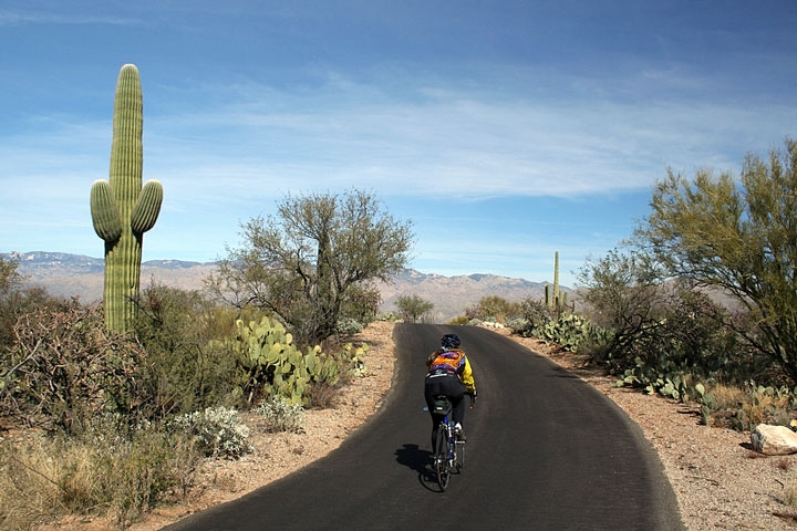 cyclist in Saguaro National Park, Arizona