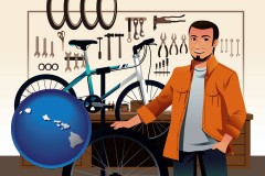 hawaii map icon and bicycle shop mechanic