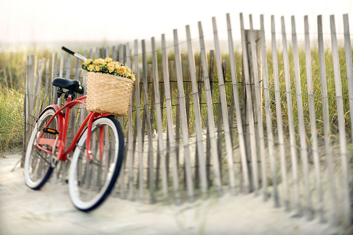red bicycle leaning against a North Carolina sand dune fence